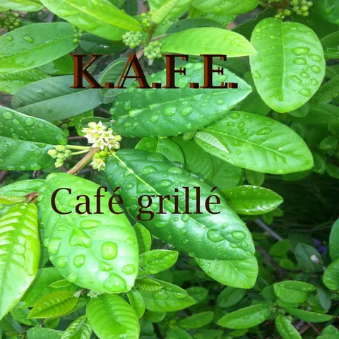 PIROS — KAFE