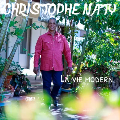 Pochette — La vie modern