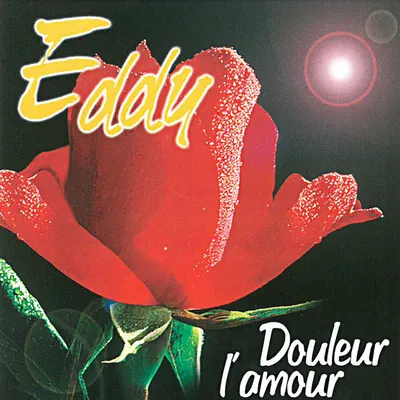 Pochette — Douleur l'amour