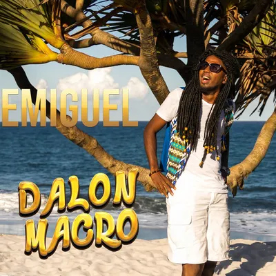 Pochette — Dalon Macro