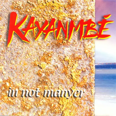 Pochette — In not manyer