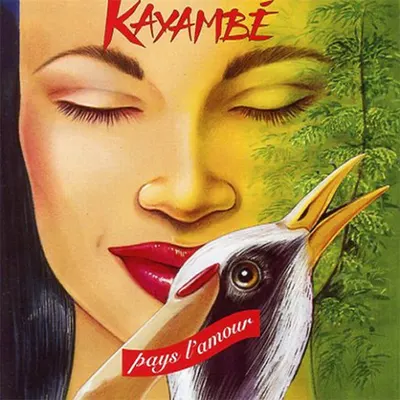 Pochette — Pays l'amour