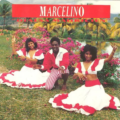 Pochette — Dalsa Mauricien