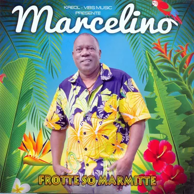 Pochette — Frotte so marmitte (Kreol - VBS Music présente)
