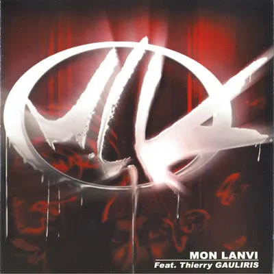Pochette — Mon lanvi